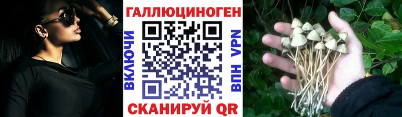 Галлюциногенные грибы мицелий  Купить закладки  Слюдянка 